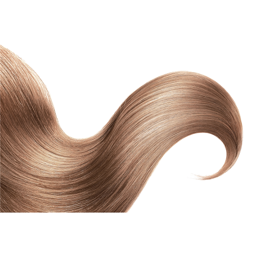 Salon EXP - Visual