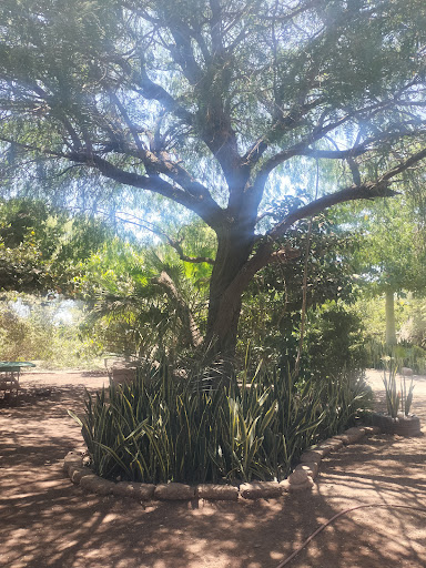 Pipino Ranch - Visual