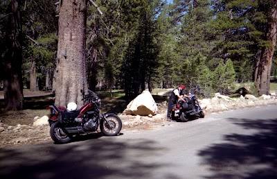 Bloomfield Campground