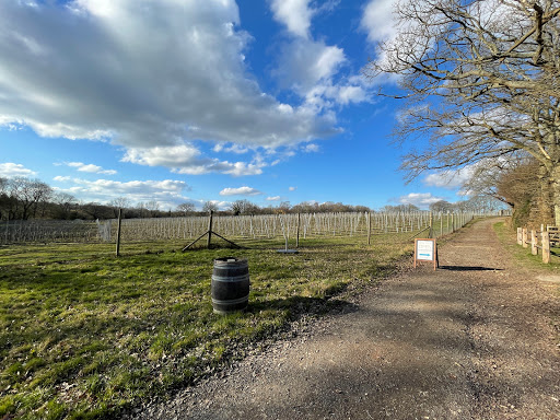 Hidden Spring Vineyard - Visual