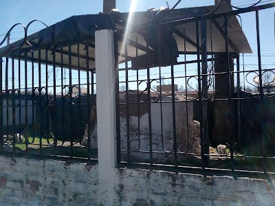 museum