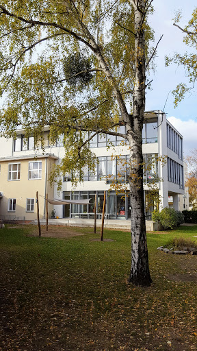 Sachsenwald-Grundschule - Thumbnail
