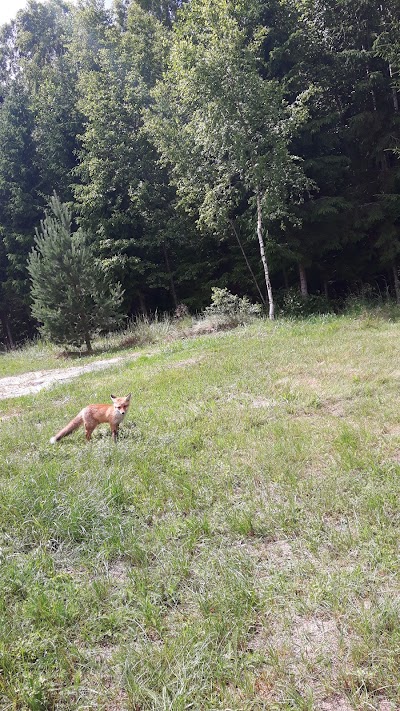 Photos of Piejūras Nams