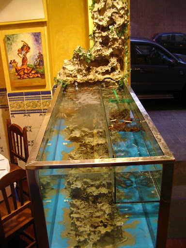 Aguas Vivas - Visual