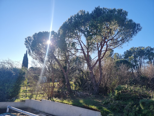 Photo de SARL JARDIN ET PISCINE - Entretien de Jardin et de Piscine