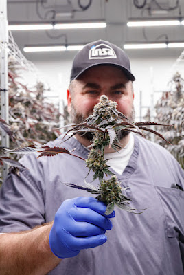 Photo of Insa Medical Marijuana Dispensary Newtown Square