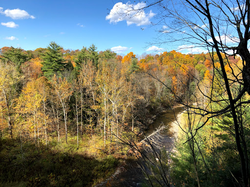 Monkey Run, Cayuga Trail - Thumbnail