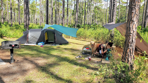 Cary Campground - Visual