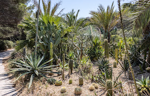 Photo n°54 de Villa Hippocampe à Six-Fours-les-Plages (Chambre d'hôtes)