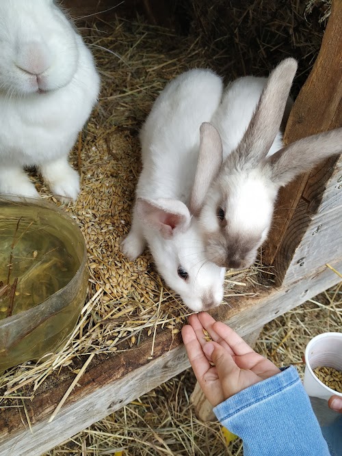 Mini zoo &quot;Rančo&quot;