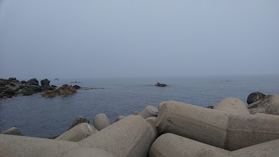 Photos of 오산해변