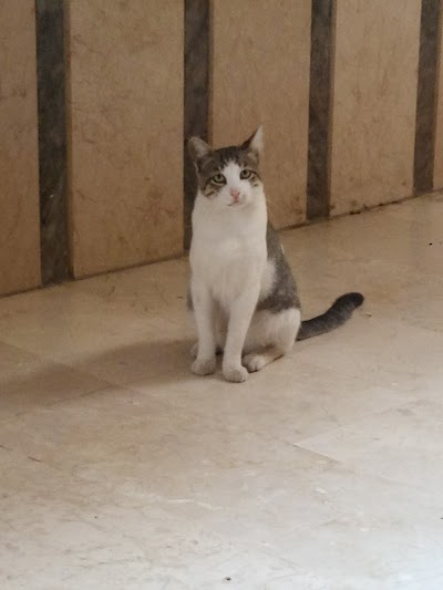 Photos of Doga Hayvan Evi