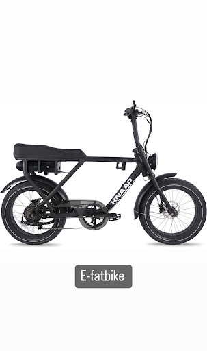 GoGo Rentals fiets&bootverhuur Noordwijk - Thumbnail