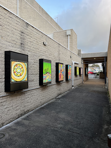 Steiner Electrical - Visual