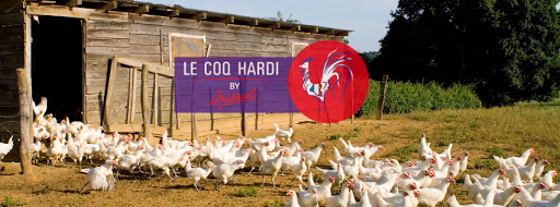 Le Coq Hardi by Miéral - Thumbnail