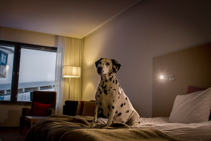 Hotel Levi Panorama by null