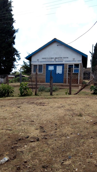 Photos of Tenges