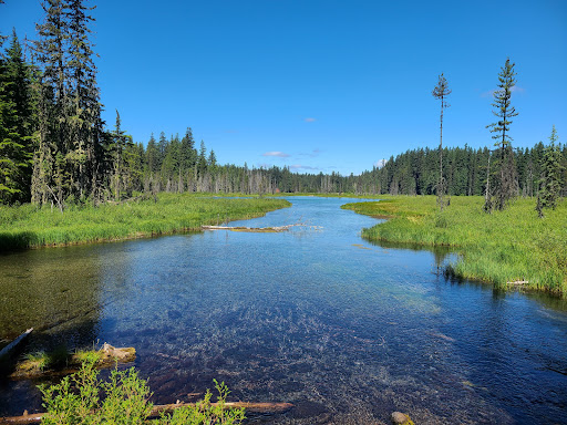 Clackamas Lake Campground - Thumbnail