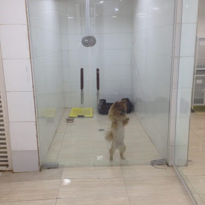 Photos of West Veterinary Hospital
