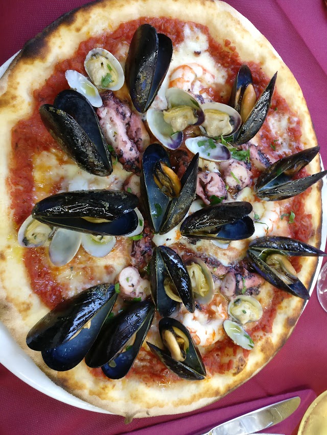 Ricciomania