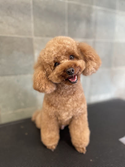 Casa mascotas, Aranjuez