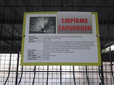 Photos of 100.Yıl Parkı