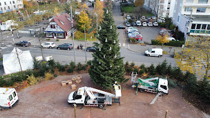 Photo n°21 de Mairie d’Illkirch-Graffenstaden à Illkirch-Graffenstaden (Hôtel de ville)