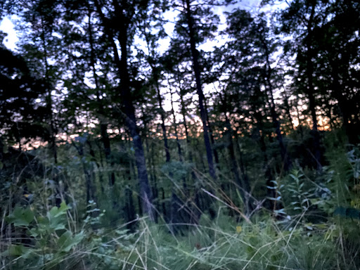 Little River Backcountry Campground - Thumbnail