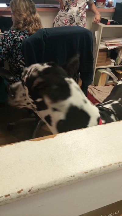 Photos of Kelly's Animal Hospital
