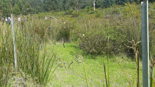 Place around image
