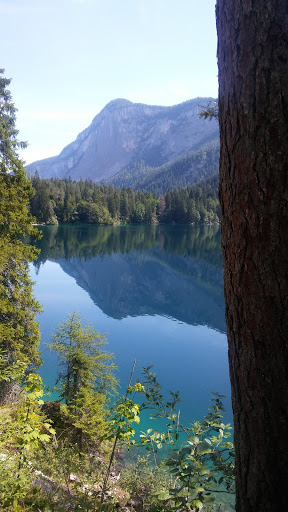 Sede del Parco Naturale Adamello Brenta - Thumbnail