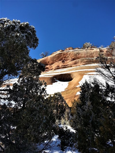 Black Ridge Canyons Wilderness (Colorado)