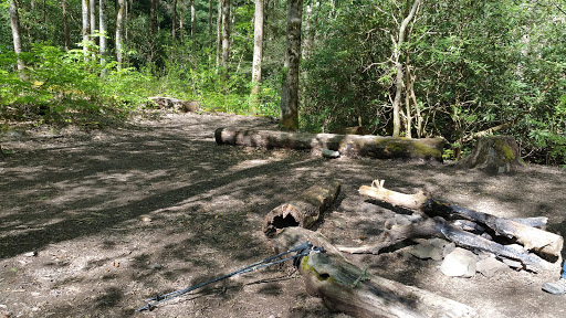 Backcountry Campsite #93 Gallery - United States