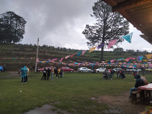 Centro de avistamiento Lluvia de Luciérnagas