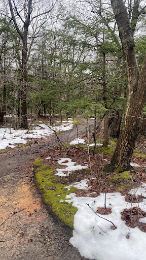 Eighteenmile Creek Conservation Park