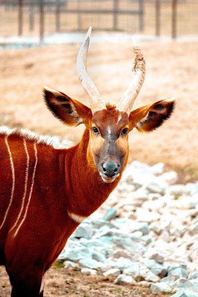 Southland Safari Guided Tours