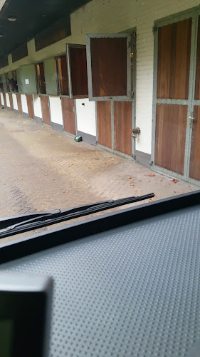 Reacties en beoordelingen van Manège De Jockey Club