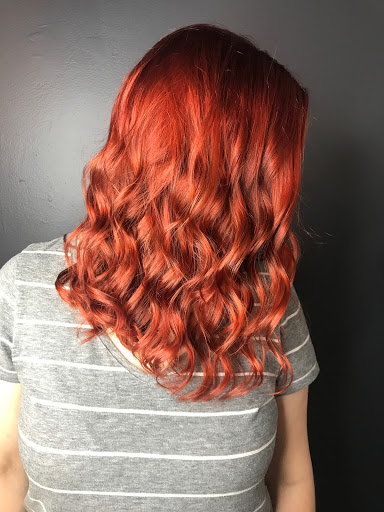 5D Salon - Visual