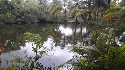 lodging