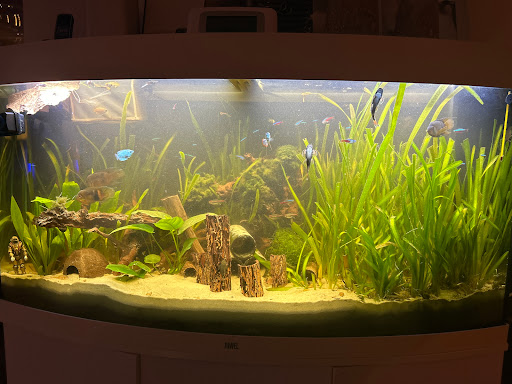 Aquaristik Hentschel - Thumbnail