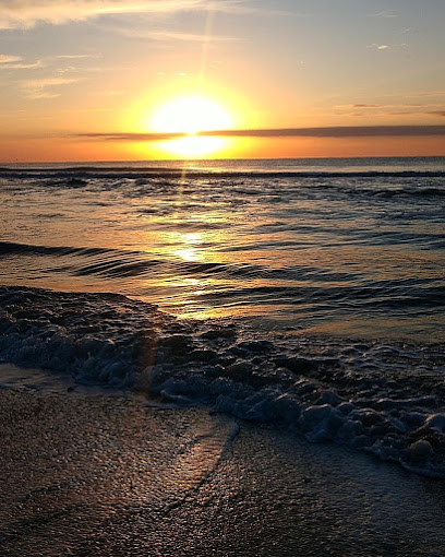 Connections Behavioral Health and Wellness, PLLC