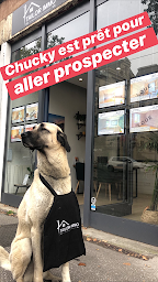 Photo n°4 de Tailor Immo à Lyon (Agence de location immobilière)