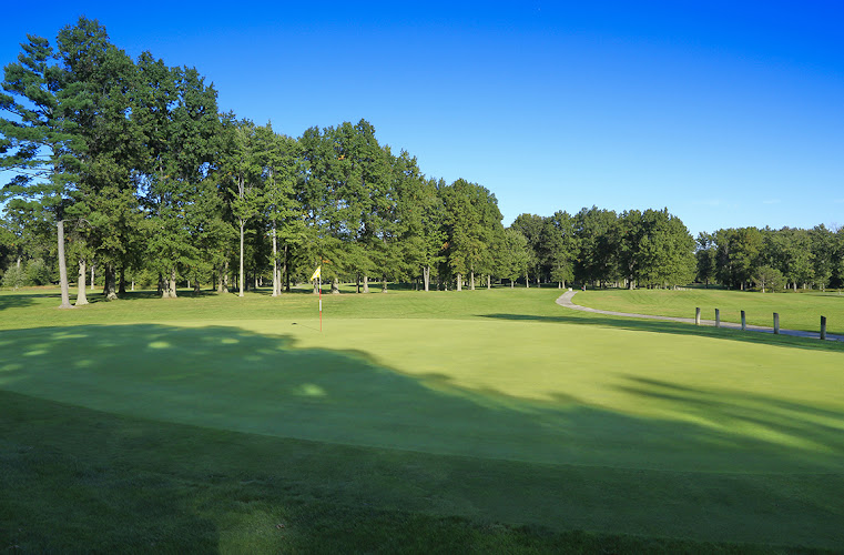 AF1QipMNhsBmohvGFndJS4ZDaVcHlIe8w8CKDdTk4j6 =w800 h500 k no