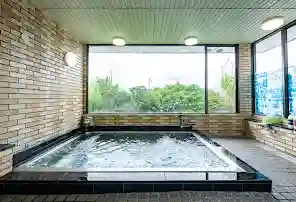 河口湖ステーションイン Google ホテル