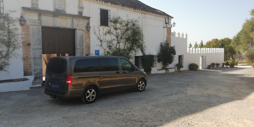 TAXI ARCOS DE LA FRONTERA(TRANSFER SERVICES ARCOS). - Thumbnail
