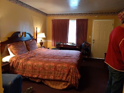 Photos of Del Monte Pines
