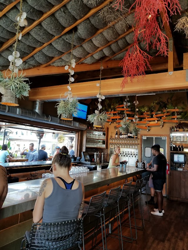 Dunedin New Zealand Eats