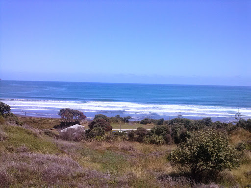 Fitzroy Seaside Park Gallery - New Zealand