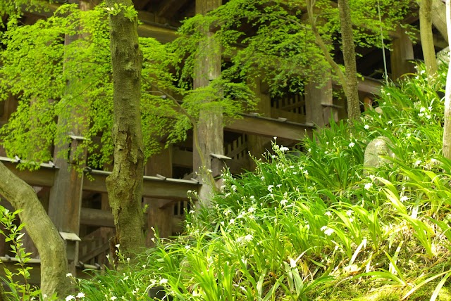 The Stage of Kiyomizu