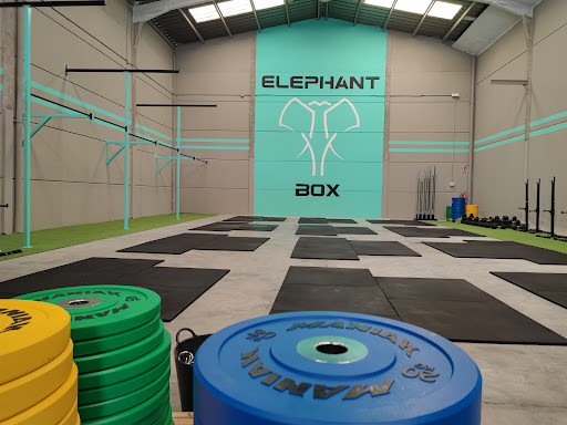 Elephant Box